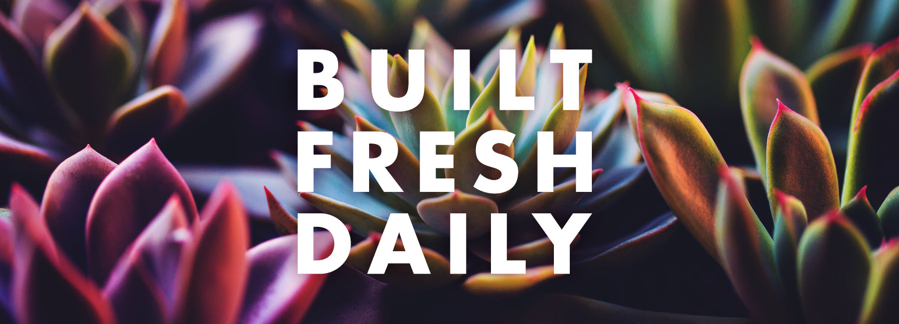 s1 built fresh daily