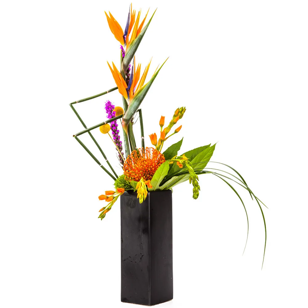 Birds of Paradise, craspedia, local flowers