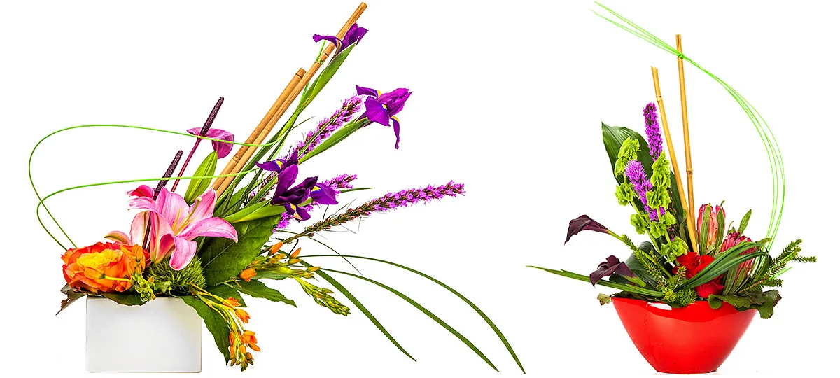 Daily Delivery available throughout Wichita, Kansas Daily Delivery available throughout Wichita, Kansas