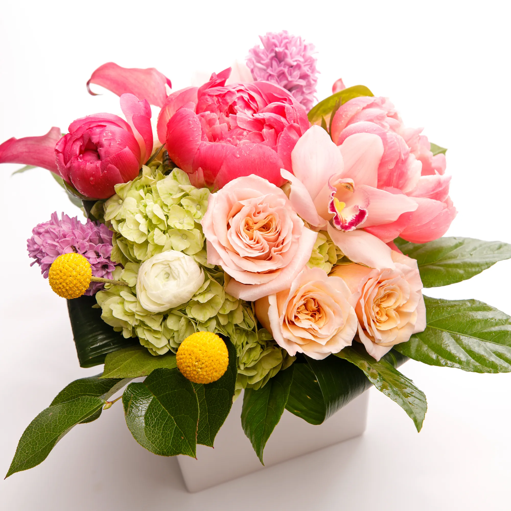 _A1A1208